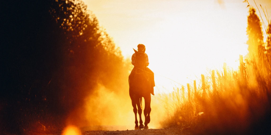 Alleine ausreiten mit GPS-Sicherheit – Reiterin bei Sonnenuntergang, Symbolbild für den Guardian Horse Tracker zur Ortung und Notfallhilfe.