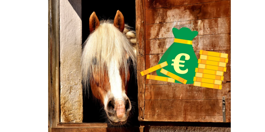 Haflinger schaut aus seiner Box, daneben ist im Comic-Stil ein grüner Geldsack und Münzen zu sehen